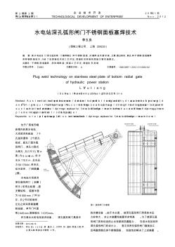 水电站深孔弧形闸门不锈钢面板塞焊技术