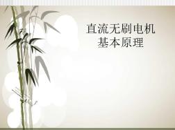 永磁电机课件.概要