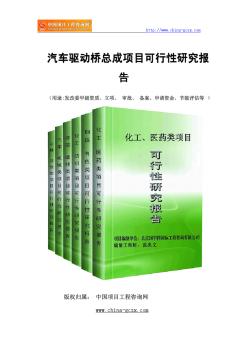 汽車驅動橋總成項目可行性研究報告(專業(yè)經典案例)