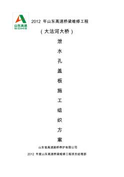 泄水管施工方案 (2)