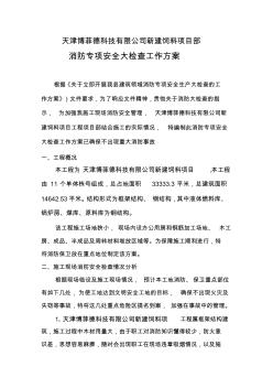 消防专项安全大检查工作方案(已通过安检站)
