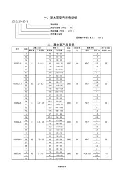 潜水泵型号大全 (2)