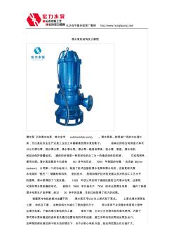 潜水泵的结构及分解图 (2)