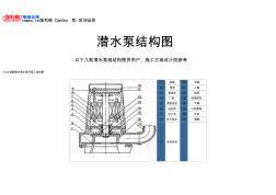 潛水泵結(jié)構(gòu)圖 (2)