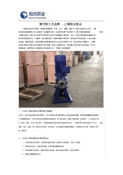 潜污泵十大品牌-上海阳光泵业