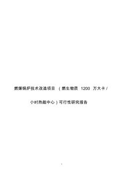 燃煤锅炉技术改造项目(燃生物质热能中心)可行性研究报告