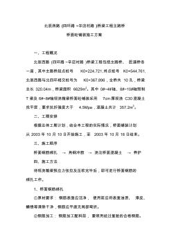 現(xiàn)澆段橋面鋪裝施工方案
