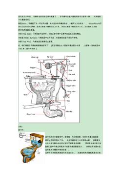 直冲式和虹吸式马桶实用详述(坐便器内部构造组图)(20200928210037)