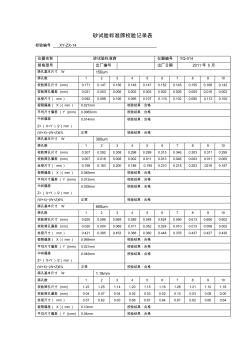 砂试验标准筛校验记录表 (2)