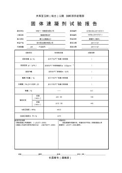 速凝剂检验报告