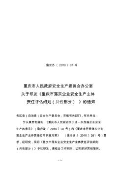 重庆市落实企业安全生产主体责任评估细则(共性部分)