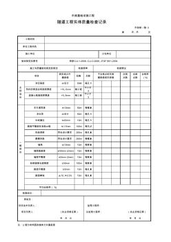 隧道工程实体质量检查记录