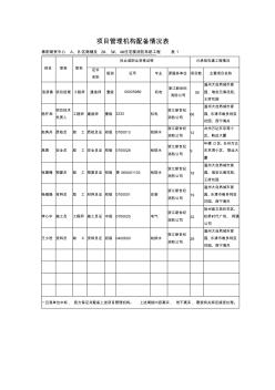 項(xiàng)目管理機(jī)構(gòu)配備情況表