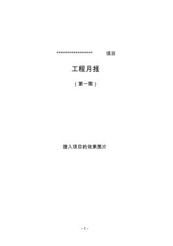 項目部施工月報樣板