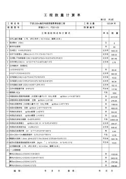 宁波顶管工程量计算单(修改)