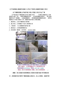 辽宁省混凝土模袋护坡施工公司水下混泥土模袋护底施工单位