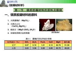 镁质胶凝材料(20201013112507)