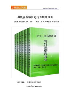 镍铁合金项目可行性研究报告(专业经典案例)