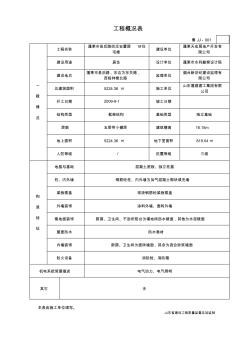 魯JJ-001工程概況表(20200811023358)