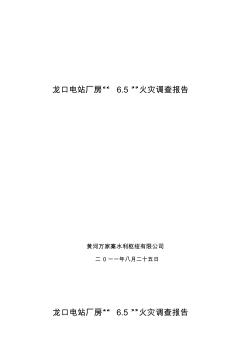 龙口电站厂房“6.5”火灾事故调查报告