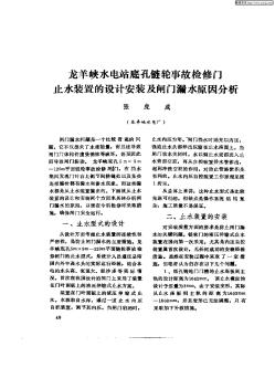 龙羊峡水电站底孔链轮事故检修门止水装置的设计安装及...