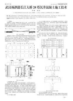 武汉杨泗港长江大桥2#塔沉井混凝土施工技术