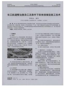 长江航道整治复杂工况条件下软体排铺设施工技术