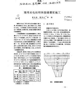 漫湾水电站坝体接缝浆施工