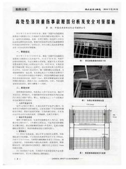 高處墜落致重傷事故原因分析及安全對策措施