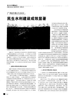 广西壮族自治区：民生水利建设成效显著