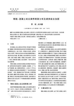鋼板-混凝土結(jié)合梁橋病害分析及梁拱組合加固