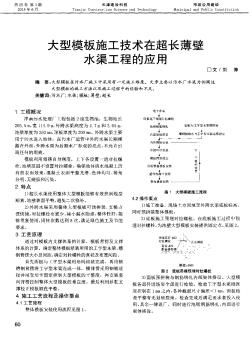 大型模板施工技术在超长薄壁水渠工程的应用