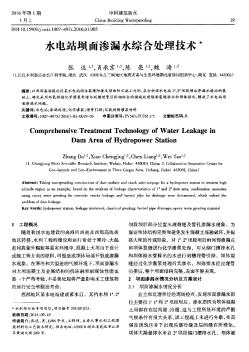 水電站壩面滲漏水綜合處理技術