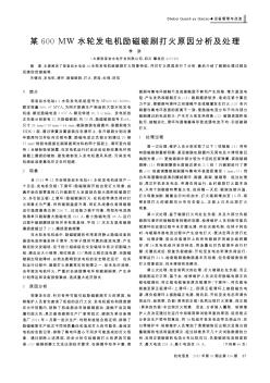 某600MW水轮发电机励磁碳刷打火原因分析及处理