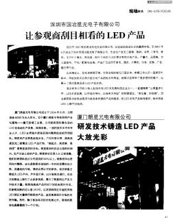深圳市国冶星光电子有限公司:让参观商刮目相看的LED产品
