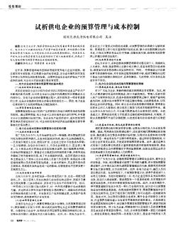 试析供电企业的预算管理与成本控制