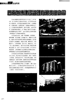 云南世博建设监理有限责任公司