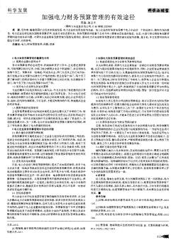 加強(qiáng)電力財(cái)務(wù)預(yù)算管理的有效途徑