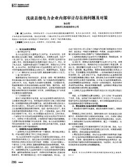 浅谈县级电力企业内部审计存在的问题及对策