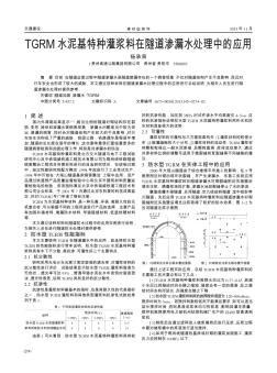 TGRM水泥基特种灌浆料在隧道渗漏水处理中的应用