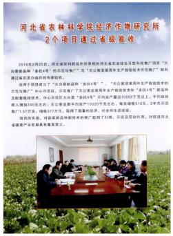 河北省农林科学院经济作物研究所2个项目通过省级验收