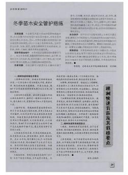 冬季苗木安全管护措施