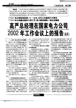 高严总经理在国家电力公司2002年工作会议上的报告(摘要)