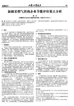 新疆某燃气供热企业节能评估要点分析