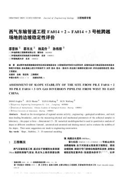 西气东输管道工程FA014+2~FA014+3号桩跨越场地的边坡稳定性评价