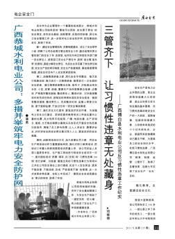 广西恭城水利电业公司:多措并举筑牢电力安全防护网