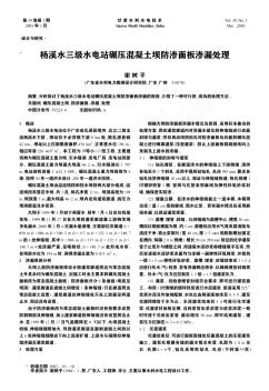 楊溪水三級(jí)水電站碾壓混凝土壩防滲面板滲漏處理