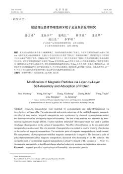 層層自組裝修飾磁性納米粒子及蛋白質(zhì)吸附研究