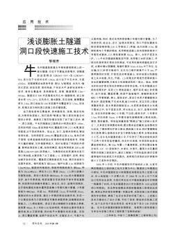浅谈膨胀土隧道洞口段快速施工技术