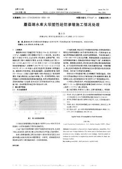 蘑菇湖水庫大壩塑性砼防滲墻施工情況處理